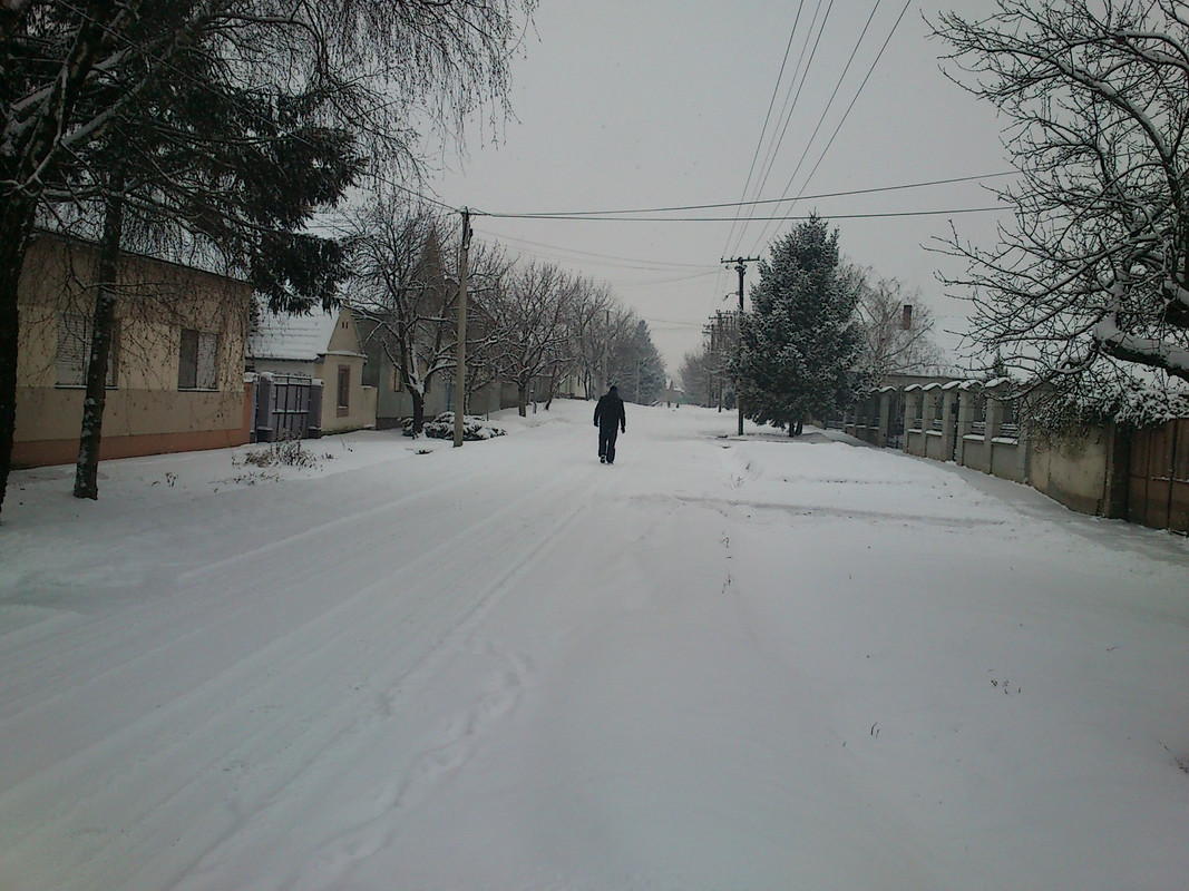 Slika