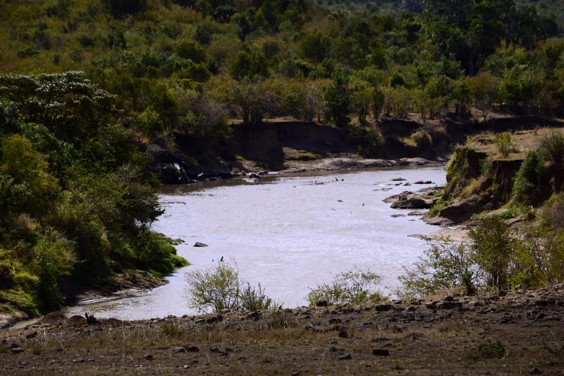 Mis días de safari en Uganda, Kenia y Zanzíbar.. Os lo intento contar - Blogs de Africa Este y Centro - Recorremos Masai Mara de un extremo a otro.. ¡Qué lugar! (35)