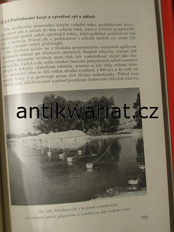 1wa Image00188