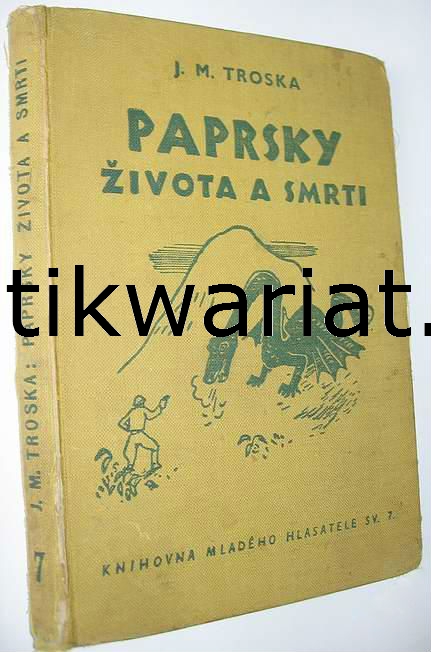 1wa Image00001