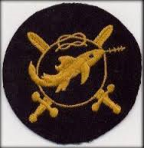 Distintivo de Combate de Pequeñas Unidades de la Marina