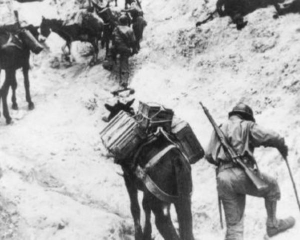 Tropas francesas usando mulas de carga en las montañas