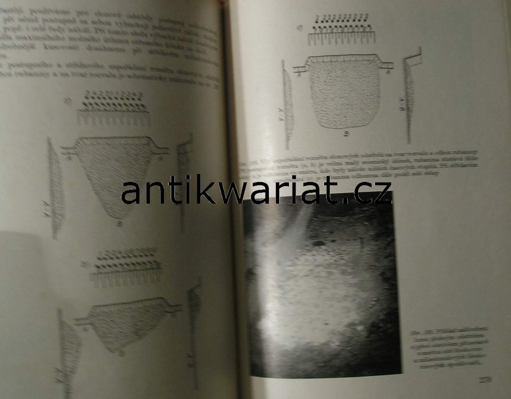 1wa Image00191