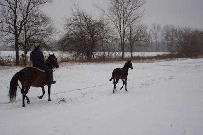 consigli_per_le_passeggiate_a_cavallo_nella_neve