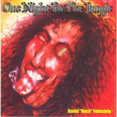 The Rods - David 'Rock' Feinstein One Night in the Jungle (2000).mp3 - 128 Kbps