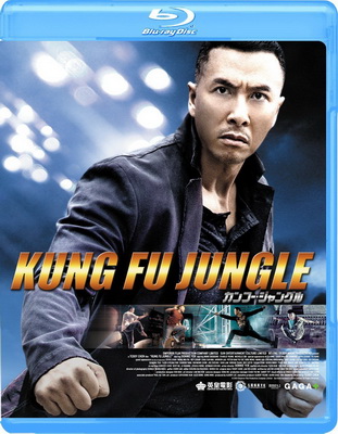 KungFu Jungle (2014) BDRip 576p ITA CHI AC3 Subs