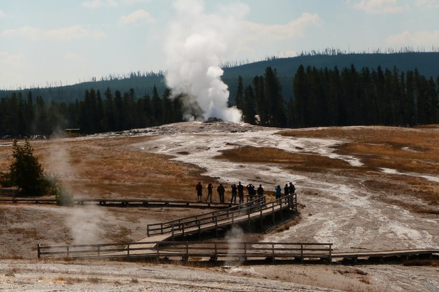 Día 12: Yellowstone I. Upper, Midway y Lower G. Basin + Gibbon F. + Madison R. - Las maravillas del Noroeste de los Estados Unidos (23)