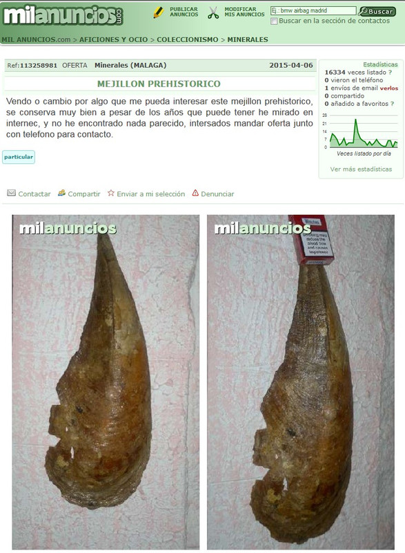 mejillon1.jpg