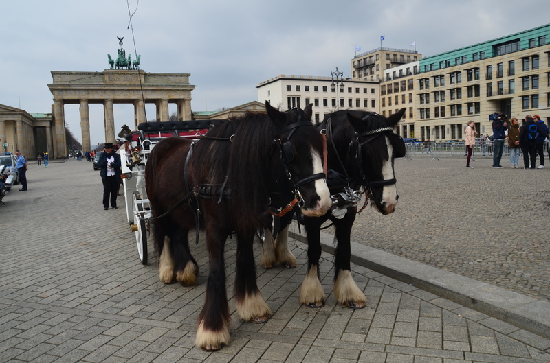 ALEMANIA Y SUS PUEBLOS-2017 - Blogs of Germany - BERLIN-29-3-2017-ALEMANIA (59)