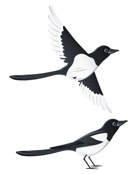 Swallows_PNG_Clipart_Picture