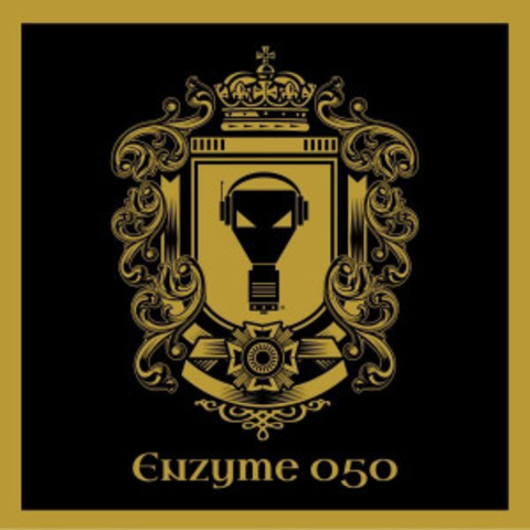 VA - Enzyme 050 (Anniversary Edition) (2014).mp3 320kbps