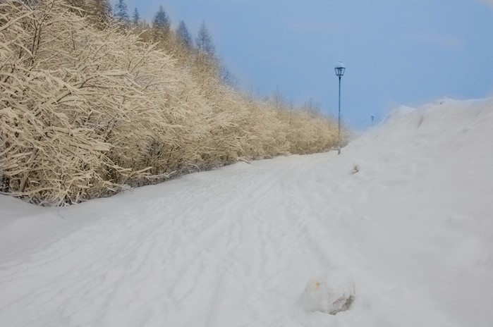 original_passeggiata_nella_neve