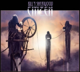 Billy Sherwood - Citizen (2015).mp3 - 128 Kbps